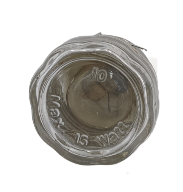 SINOPTS 220v15w Oven light