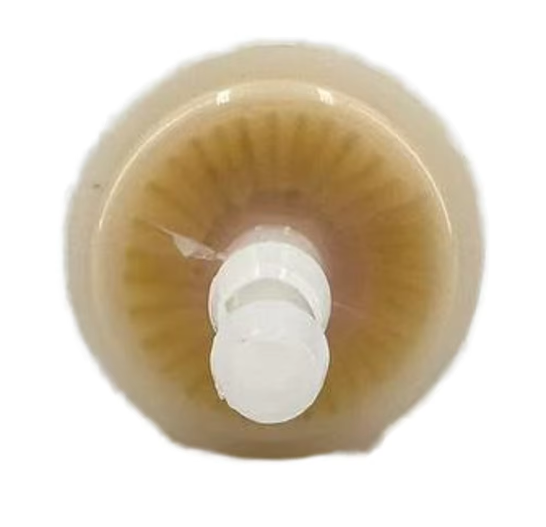 Transparent Diesel Fuel Filter