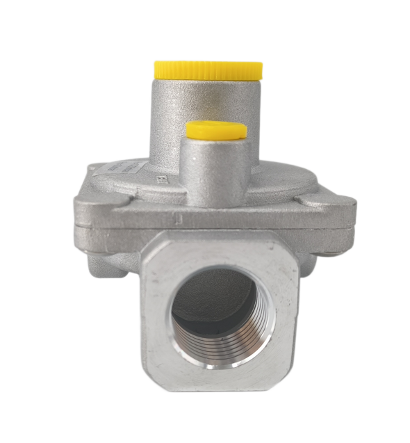 SINOPTS Hot Sale Aluminum Casting Gas Regulator Valve