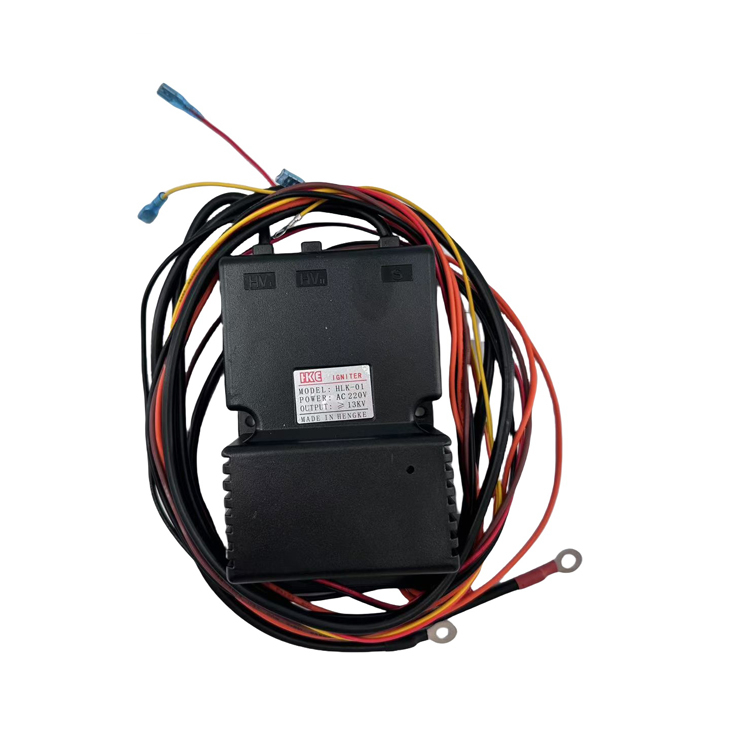 Gas Oven Universal Commercial Igniter 220Vac Oven burner Pulse Igniter