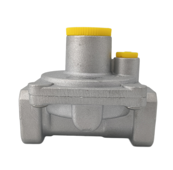 SINOPTS Hot Sale Aluminum Casting Gas Regulator Valve