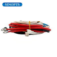 Commercial 3V Gas Pulse Ignition Controller with Buzzer Igniter