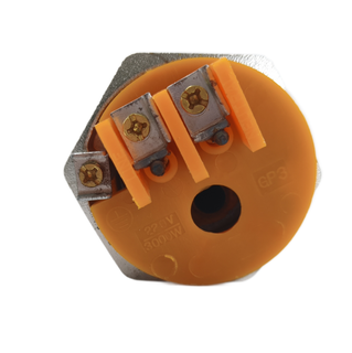 SINOPTS Water Heater Electric Heating Tube Electric Heating Rod Solar Heating Tube 220V 3000W