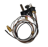 SINOPTS High-Performance ODS Pilot Burner Assembly with Ignition Electrodes & Lead Wires