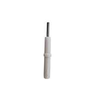 Durable Ceramic Electrode for Household Gas Heater Parts Ignition Gas Parts
